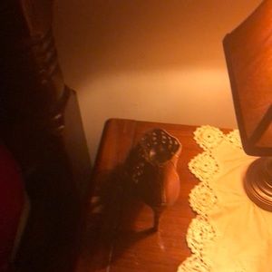 Baby Phat Brown sandals